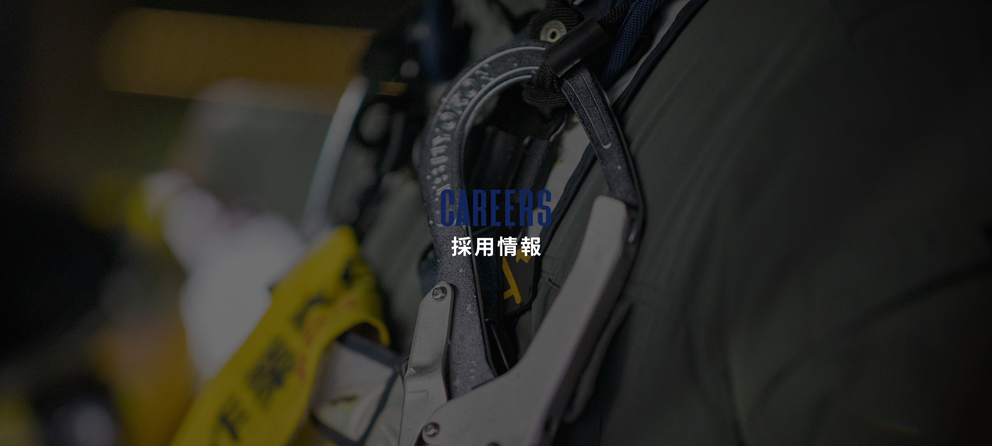 採用情報